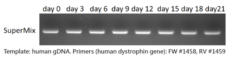 pcr