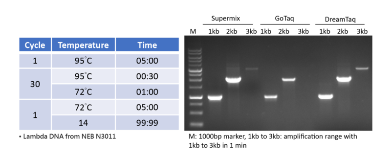 pcr