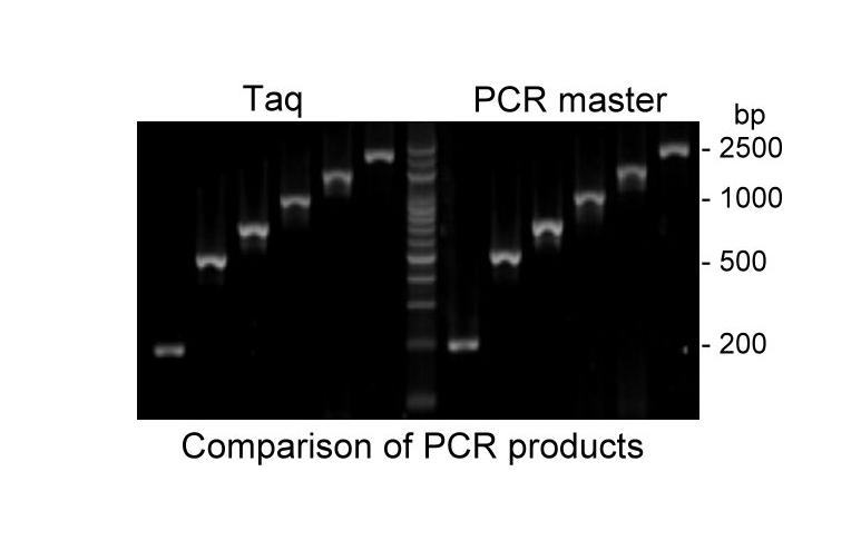 pcr