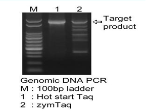 dna